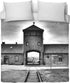 Auschwitz-Birkenau, December 1945
